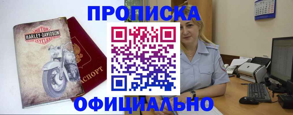 прописка для школы в Курске